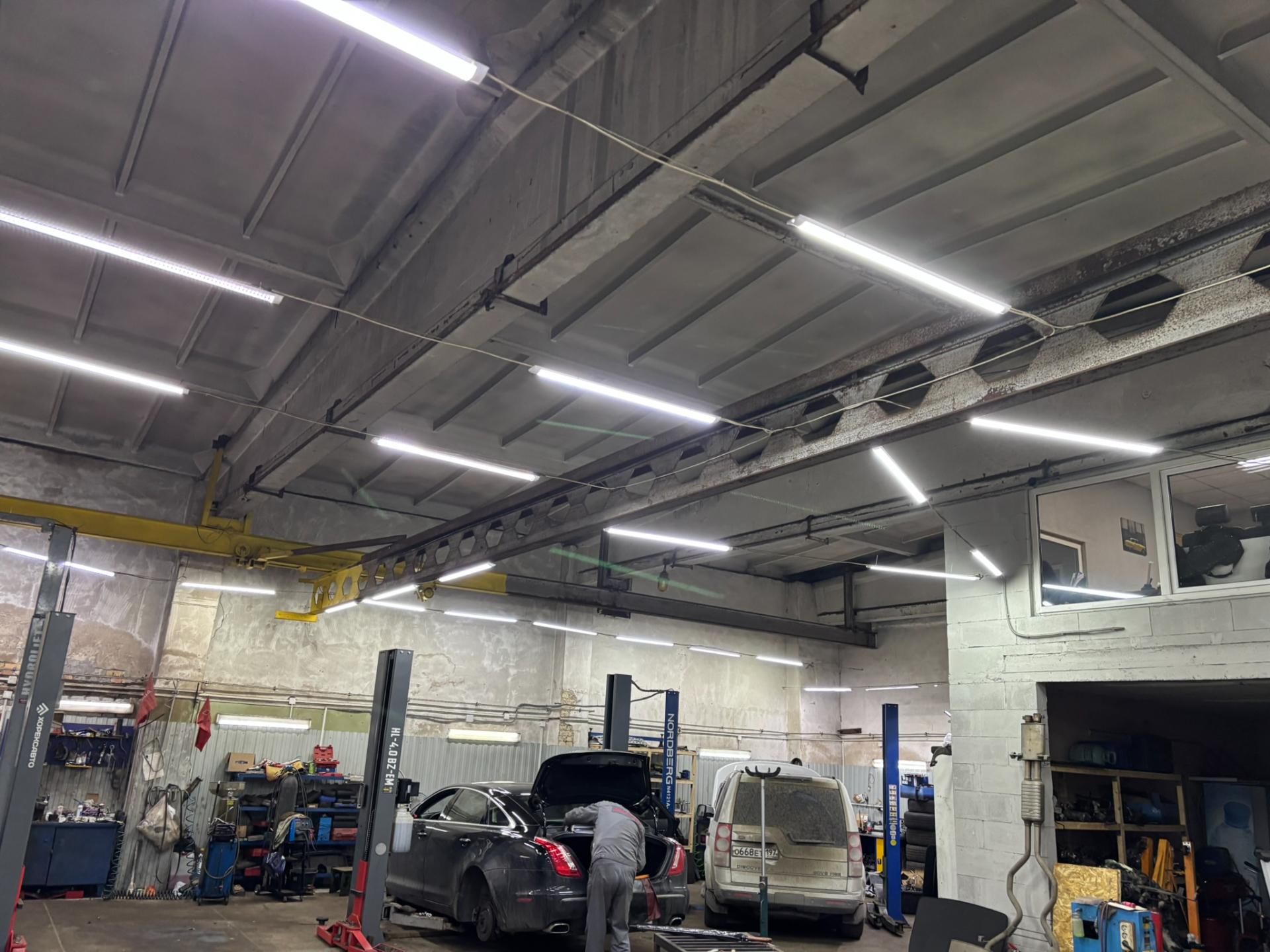 Автобиография 5