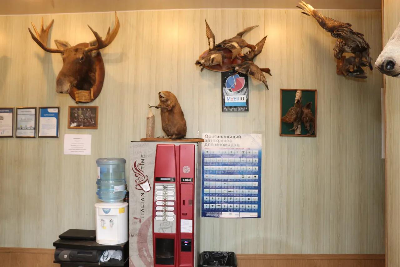 ЭнерджиМоторс-Плюс 1