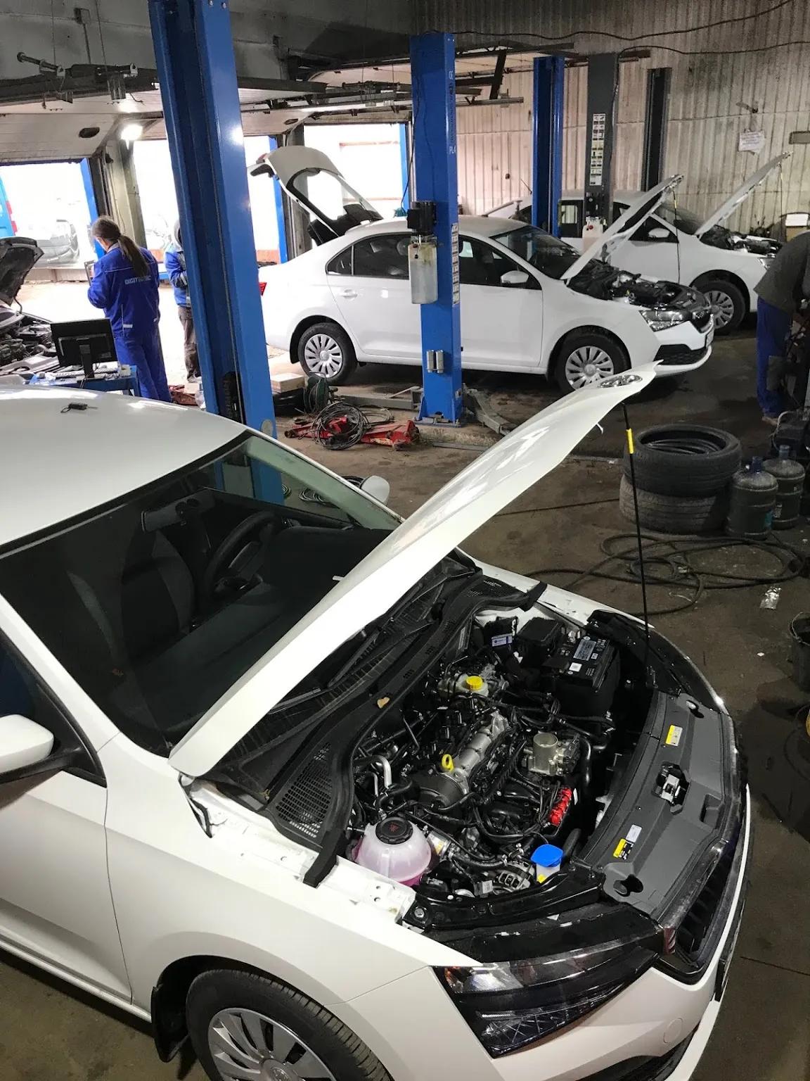 Layada Service 6