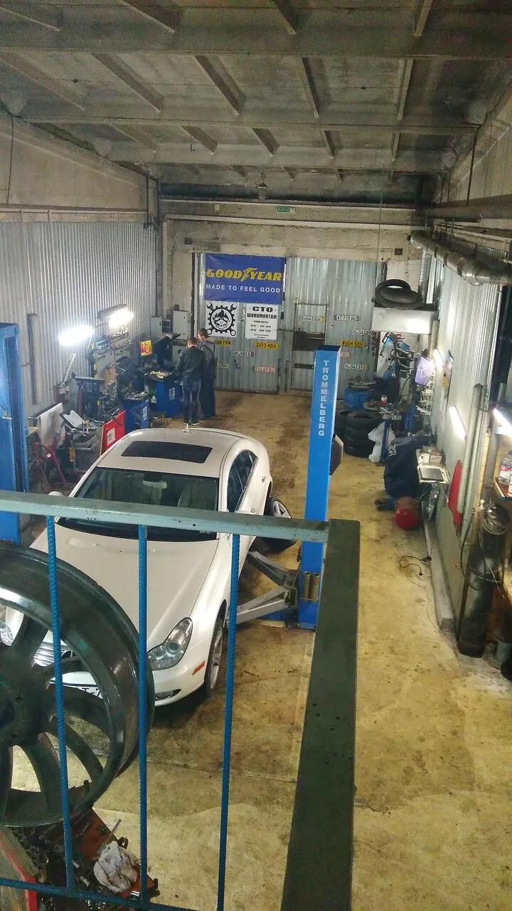 Auto-Shina 3