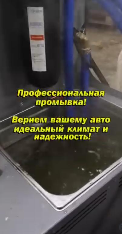 Беластр 5